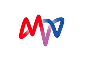 MVV ENVIRONMENT